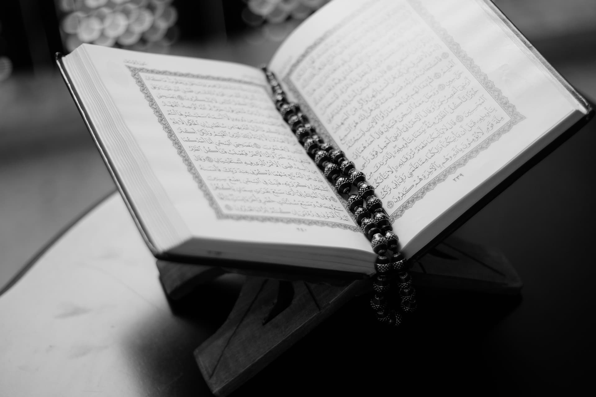 مجموعة من الكتب القديمة